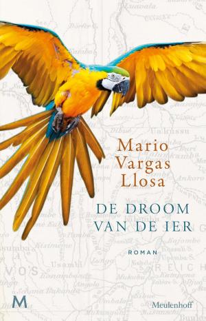 Cover of the book De droom van de Ier by Karl May