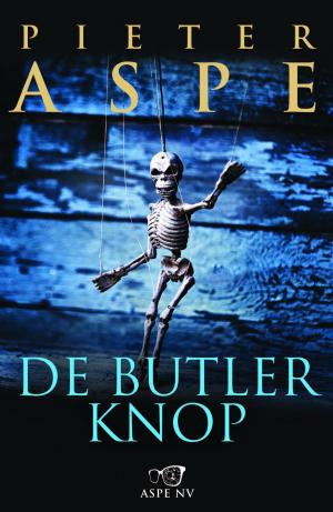 Book cover of De butlerknop
