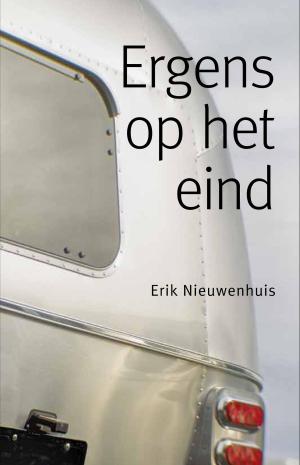 Cover of the book Ergens op het eind by Martha Vollering