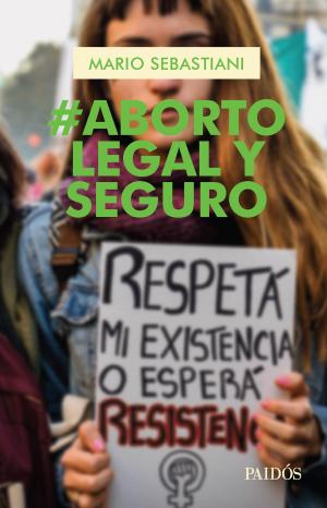 Cover of the book Aborto legal y seguro by Lucía Méndez
