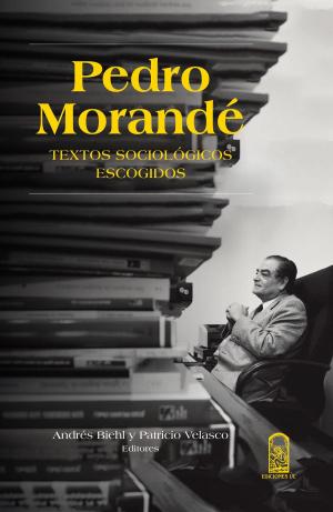 Cover of the book Pedro Morandé by Mons. Fernando Chomalí