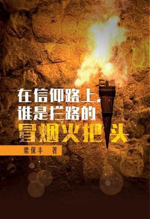 Cover of the book 在信仰路上，谁是拦路的冒烟火把头 by Dr. Ray Self