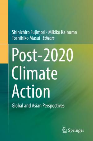 Cover of the book Post-2020 Climate Action by Songling Huang, Shen Wang
