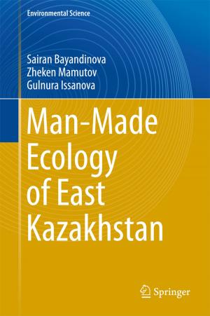 Cover of the book Man-Made Ecology of East Kazakhstan by Jun Xu, Qiang Wang, Shenhui Li, Feng Deng