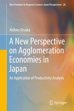 Cover of the book A New Perspective on Agglomeration Economies in Japan by Jie Ren