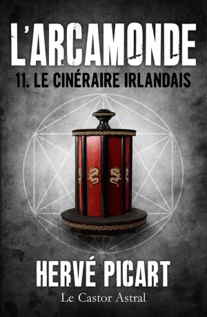 Cover of the book Le Cinéraire irlandais by Véronique Biefnot, Francis Dannemark