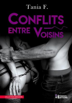 Book cover of Conflit entre voisins