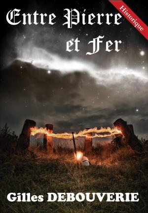 Book cover of Entre Pierre et Fer