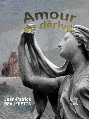 Cover of the book Amour en dérive by Amélie Bosquet
