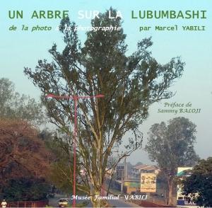 Cover of the book Un arbre sur la Lubumbashi by Jean Pierre Mariojouls