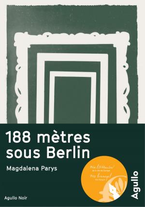 Cover of the book 188 mètres sous Berlin by Flaneur
