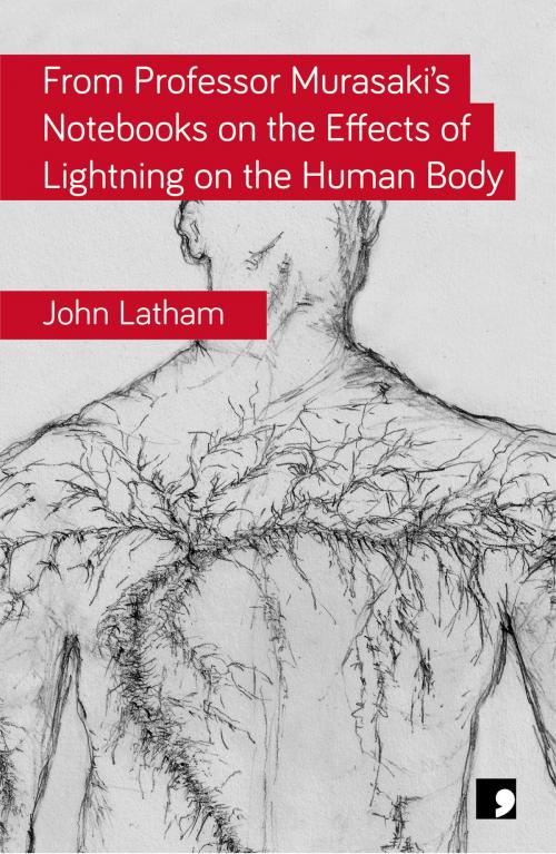 Cover of the book From Professor Murasaki's Notebooks on the Effects of Lightning on the Human Body by John Latham, Comma Press