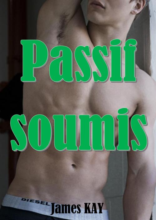 Cover of the book Passif soumis by James KAY, JK Edition