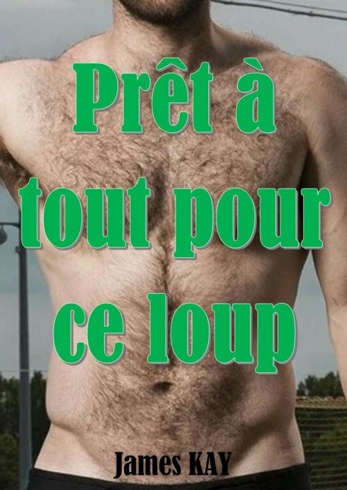 Cover of the book Prêt à tout pour ce loup by James KAY, JK Edition