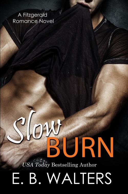 Cover of the book Slow Burn by E. B. Walters, Firetrail Publishing