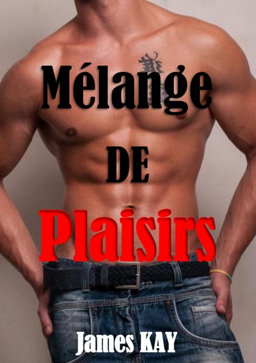 Cover of the book Mélange des plaisirs by James KAY, JK Edition