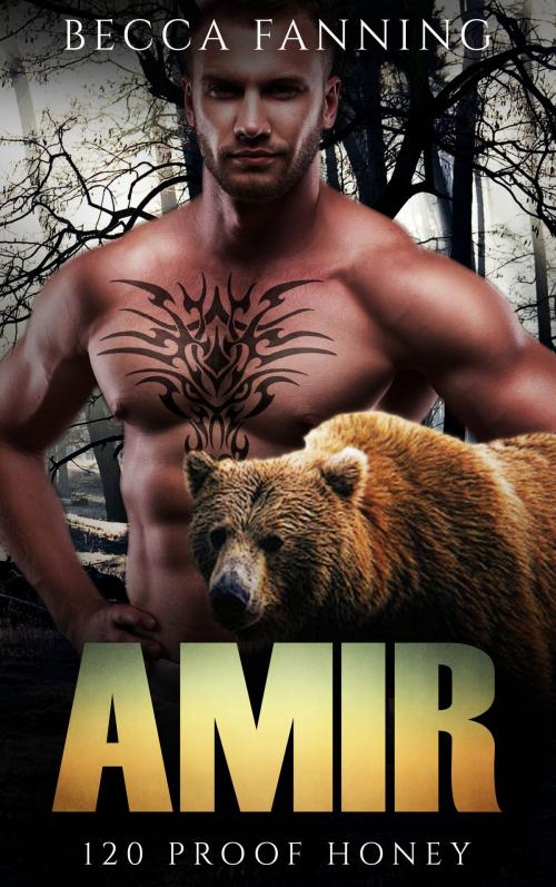 Cover of the book Amir by Becca Fanning, Gizmo Media