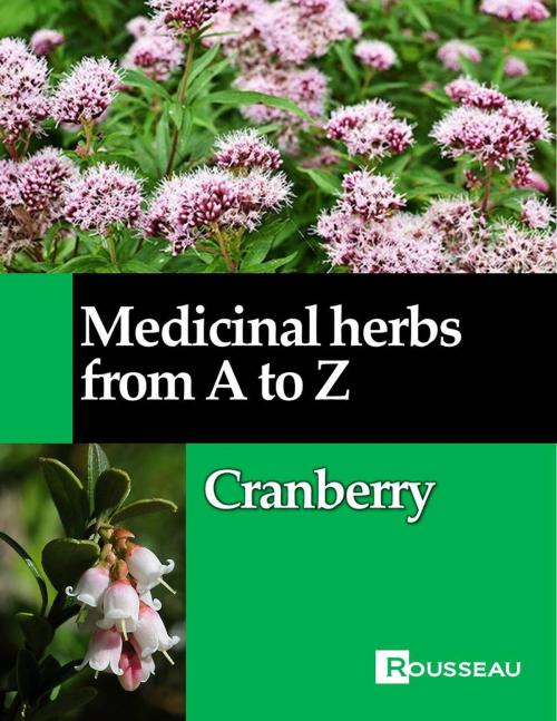 Cover of the book Medicinal herbs from A to Z by Mathieu Rousseau, Rousseau