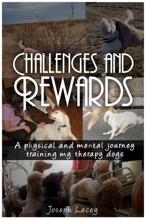 Cover of the book Challenges and Rewards by Joseph Lacey, Joseph Lacey