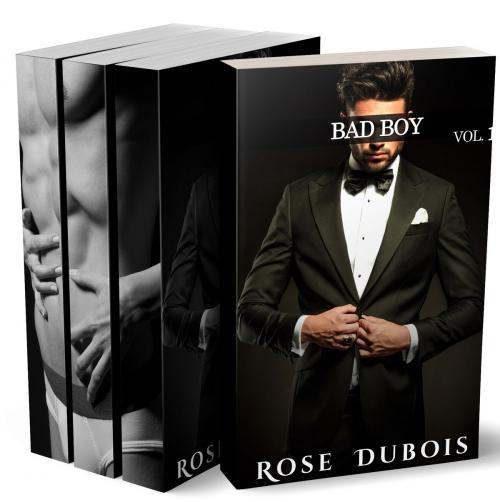 Cover of the book BAD BOY (L'Intégrale + BONUS) by Rose Dubois, Rose Dubois