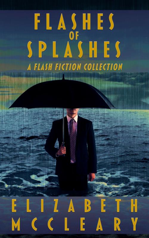 Cover of the book Flashes of Splashes by Elizabeth McCleary, Orange Pear Media