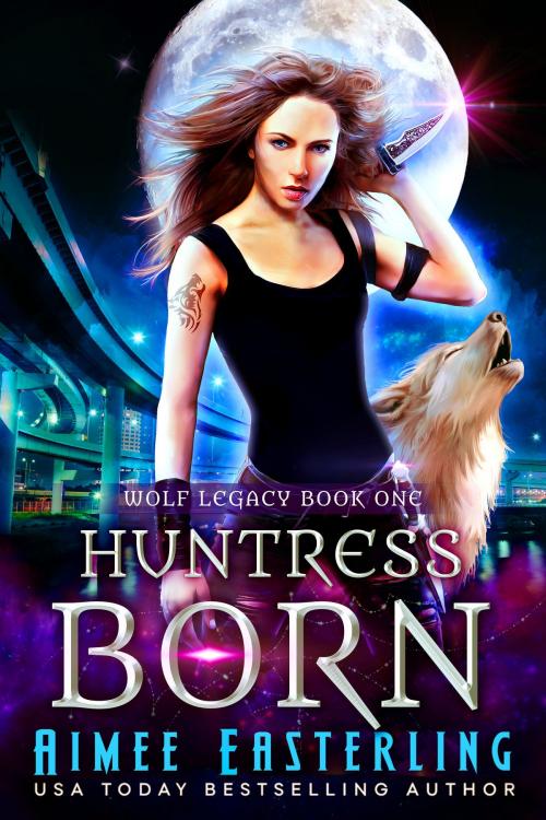 Cover of the book Huntress Born by Aimee Easterling, Wetknee Books