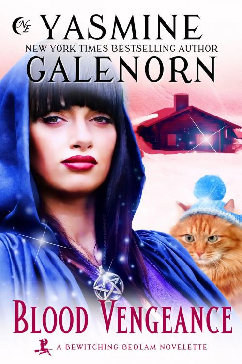 Cover of the book Blood Vengeance by Yasmine Galenorn, Nightqueen Enterprises LLC
