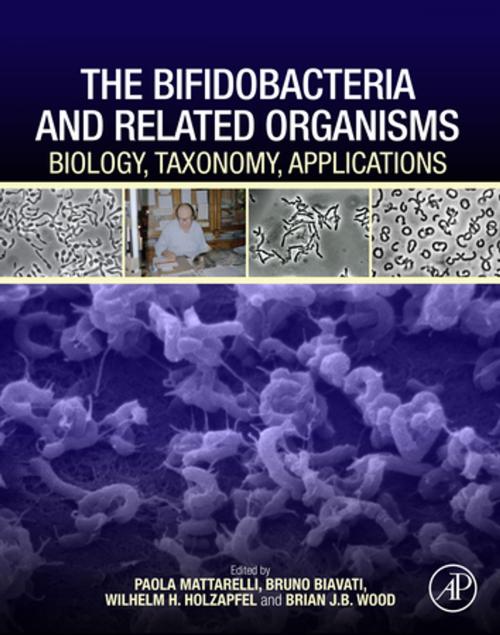 Cover of the book The Bifidobacteria and Related Organisms by , Elsevier Science