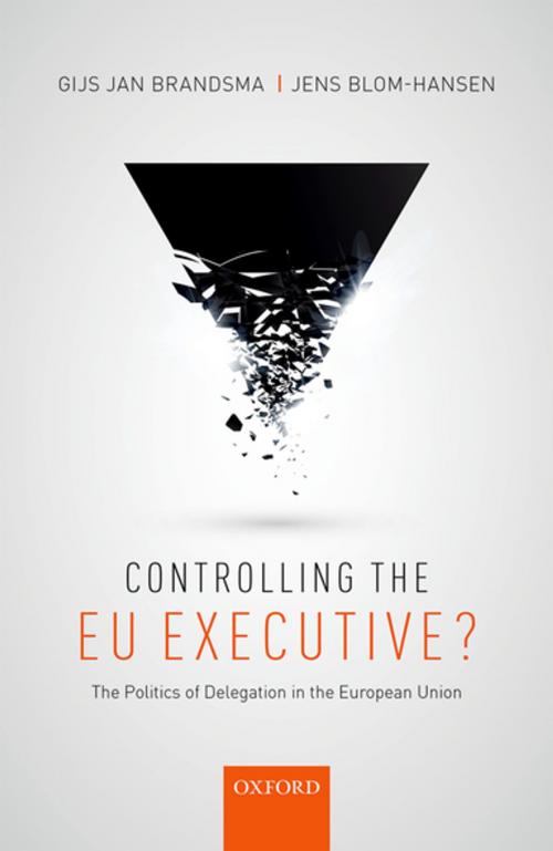 Cover of the book Controlling the EU Executive? by Gijs Jan Brandsma, Jens Blom-Hansen, OUP Oxford