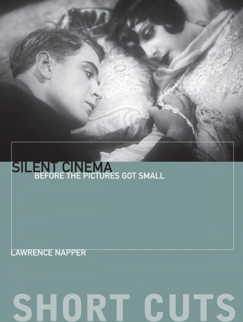 Cover of the book Silent Cinema by Lawrence Napper, Columbia University Press