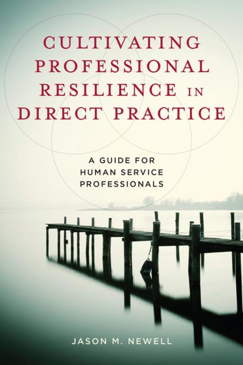 Cover of the book Cultivating Professional Resilience in Direct Practice by Jason M. Newell, Columbia University Press