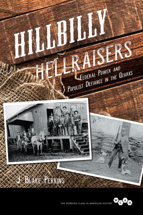 Cover of the book Hillbilly Hellraisers by J. Blake Perkins, J Perkins, University of Illinois Press