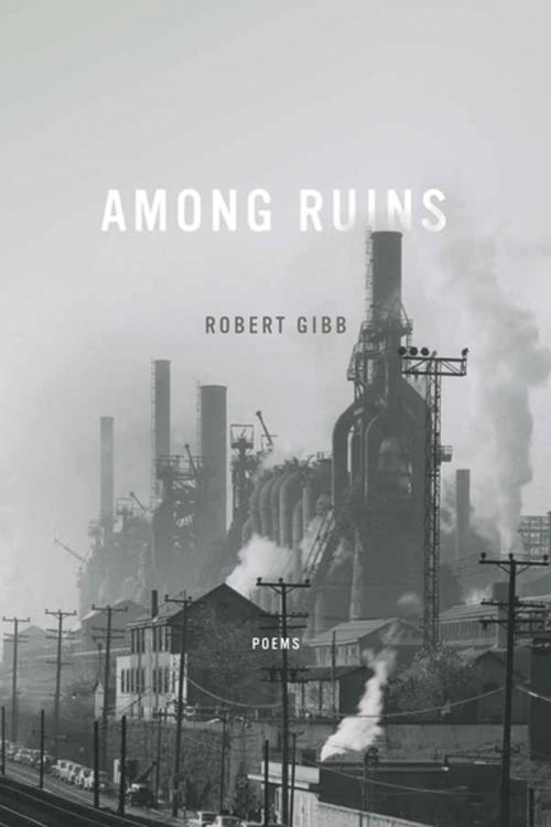 Cover of the book Among Ruins by Robert Gibb, University of Notre Dame Press