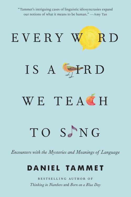 Cover of the book Every Word Is a Bird We Teach to Sing by Daniel Tammet, Little, Brown and Company
