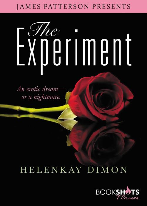 Cover of the book The Experiment by HelenKay Dimon, Little, Brown and Company