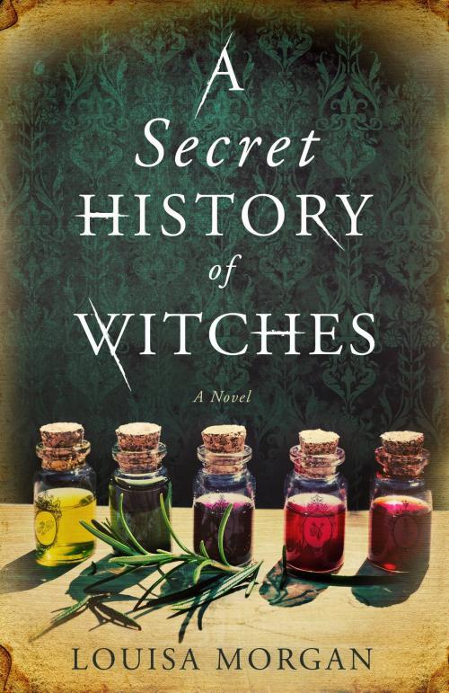 Cover of the book A Secret History of Witches by Louisa Morgan, Orbit