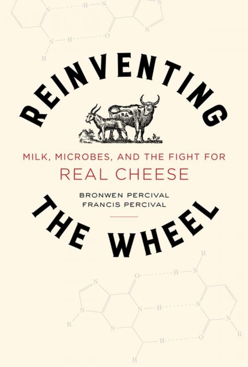 Cover of the book Reinventing the Wheel by Bronwen Percival, Francis Percival, University of California Press