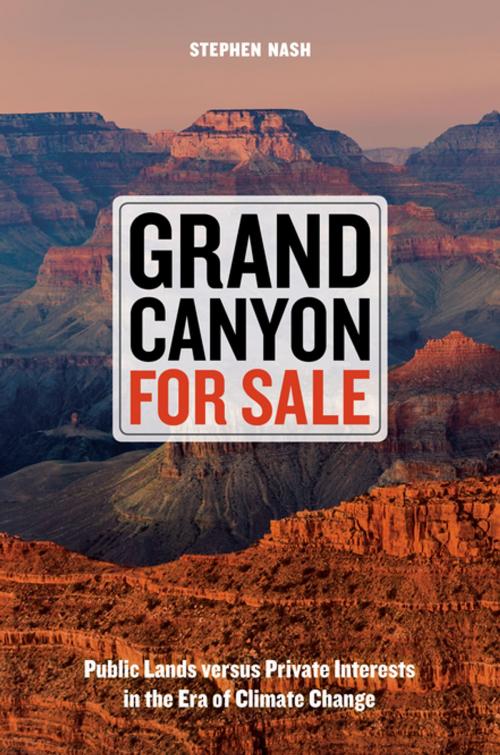Cover of the book Grand Canyon For Sale by Stephen Nash, University of California Press