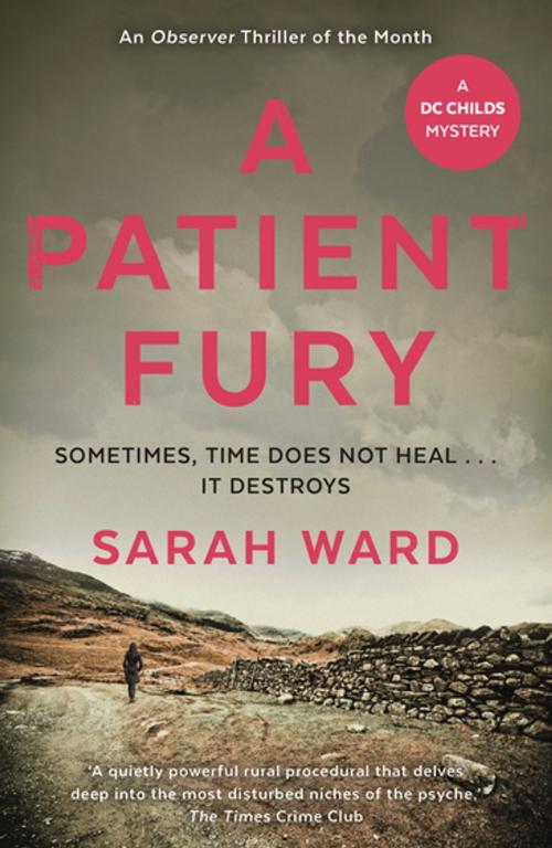 Cover of the book A Patient Fury by Sarah Ward, Faber & Faber