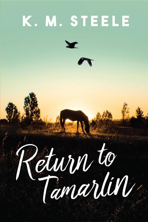 Cover of the book Return to Tamarlin by K. M. Steele, Campbell St. Press