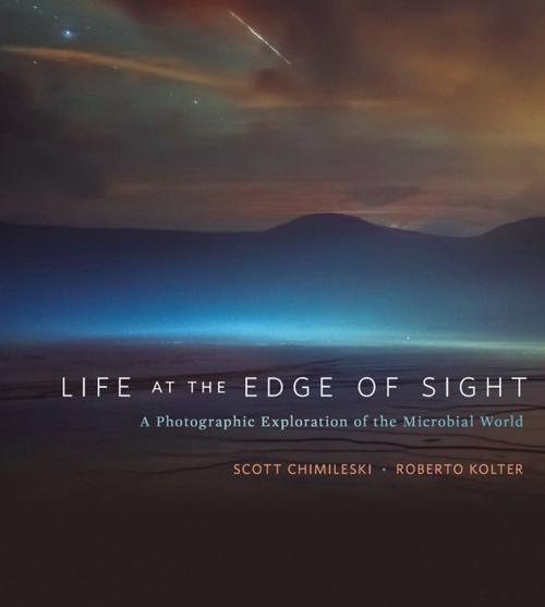 Cover of the book Life at the Edge of Sight by Scott Chimileski, Roberto Kolter, Harvard University Press
