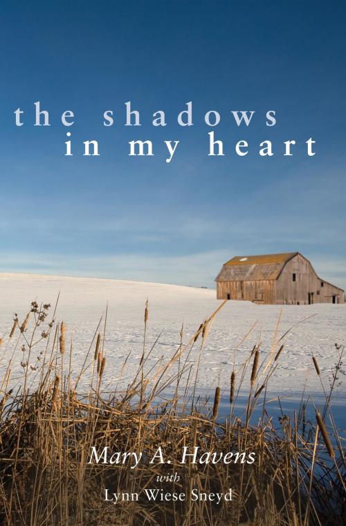 Cover of the book The Shadows in My Heart by Mary Havens, Mary A. Havens, LLC