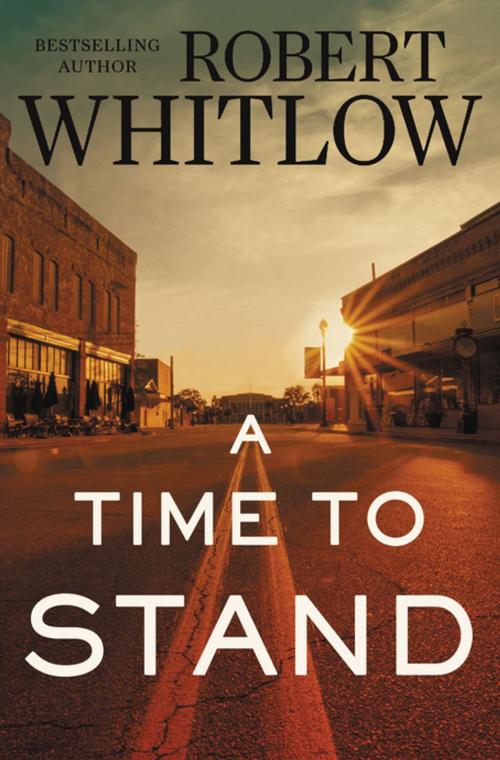 Cover of the book A Time to Stand by Robert Whitlow, Thomas Nelson