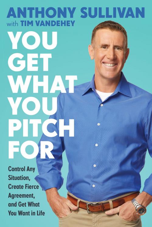 Cover of the book You Get What You Pitch For by Anthony Sullivan, Tim Vandehey, Hachette Books
