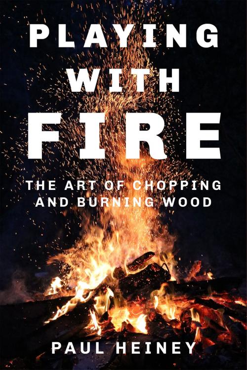 Cover of the book Playing with Fire by Paul Heiney, The History Press