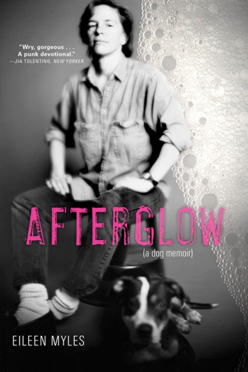 Cover of the book Afterglow (a dog memoir) by Eileen Myles, Eileen Myles, Grove Atlantic