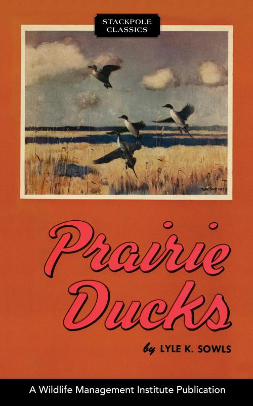 Cover of the book Prairie Ducks by Lyle K. Sowls, Stackpole Books