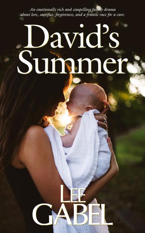 Cover of the book David's Summer by Lee Gabel, Frankenscript Press