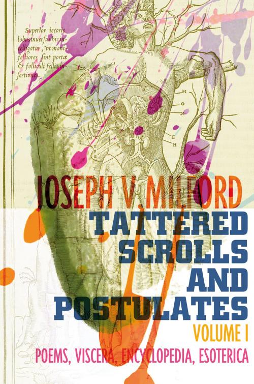 Cover of the book Tattered Scrolls and Postulates by Joseph V.  Milford, Backlash Press