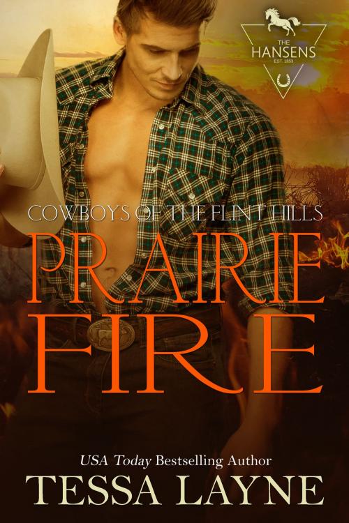 Cover of the book Prairie Fire by Tessa Layne, Shady Layne Media